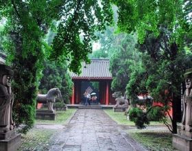 特斯拉1月銷量：國內19&comma;346輛，出口40&comma;500輛，不敵比亞迪