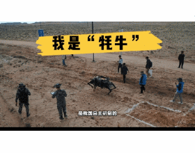 “國產殺器”63火箭炮：一夜間炸燬74架美軍戰機，讓美軍談之色變