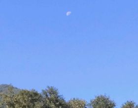 同爹不同媽，愛偏心，這6對星二代的生活差距太大，現實又扎心