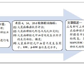 八年前的傷口，至今滴血不止