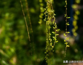 春天補鈣長高關鍵期，早餐這樣吃，孩子高人一等