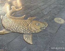 國內網際網路排名