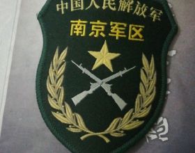 1988年實行新的軍銜制，南京軍區正、副司令員，授予什麼軍銜？