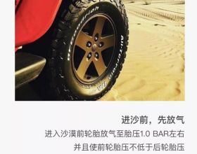 52歲主持人阮小儀養狗為樂，愛犬去世後，用1年時間才走出悲痛