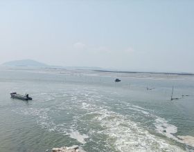 高效日本黑幫救災