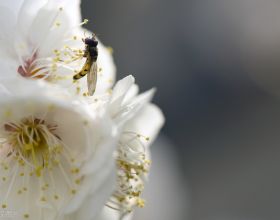 &OpenCurlyDoubleQuote;小杜蘭特&rdquo;終於爆發！離開湖人身價大漲，俘獲極品女友