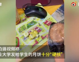 中國礦業大學給學生髮“硬核”月餅，用鐵錘都敲不開！學生：好吃