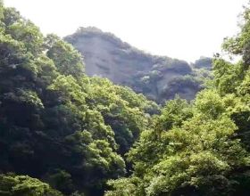 在青川，有一種美景叫“尖叫谷”