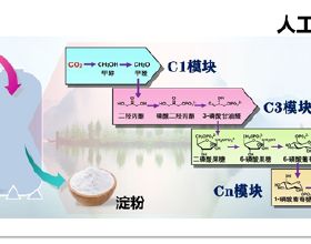 2室2廳幸福北歐風，宅家也自在