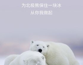 為更強越野，上汽大通D90 Pro亞馬遜將上市