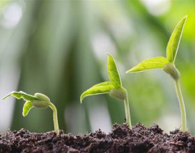 《萬水千山總是情》30多年後只記得莊夢蝶、莊天涯和主題曲