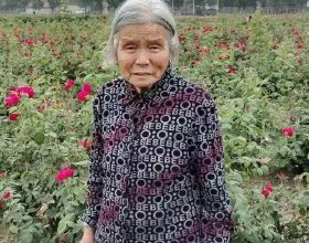 溫暖過年嘉遊贛 &vert; 【虎年添&OpenCurlyDoubleQuote;福&rdquo;氣！】春節怎麼玩？賽石城&CenterDot;花樂園給你不一樣的春節體驗~