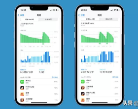 嘔吐虛症、脾胃氣虛的舌象
