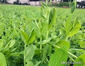 創投見聞&lowbar;2022&sol;02&sol;17