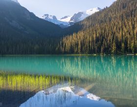 緬甸25個政黨聯合發表宣告 呼籲讓國家儘快恢復正常