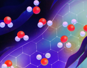 再次奔向海邊恰巧遇上漲潮，成功解鎖新魚種