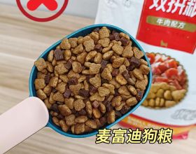 超500家上市公司買理財，合計購買金額近1700億元