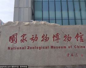 北京三家關於動物的博物館，帶你發現動物從古至今的那些秘密