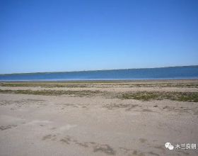 【人大代表風采】黎繼晶：心繫群眾守初心 盡心盡責擔使命