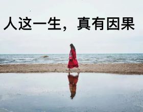 水果新寵牛油果竟成非洲貧農致富的希望