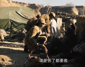 淮海戰役中，32萬國軍當了俘虜，他們下落如何？