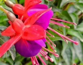 法媒打分巴黎戰皇馬：姆巴佩8分最高，迪馬利亞、梅西3分