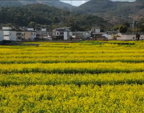 初到專列工作，馮桂英請毛主席品嚐蘇聯小包子，主席忙擺手：不對