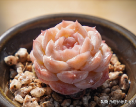 淚目！一位老兵留下的無數勳章，卻沒給自己留下一張像樣的照片