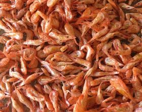 寶寶輔食—蝦皮粉 天然調味品補鈣小能手