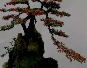 京東家電與長虹空調簽署C2M戰略單品協議 推動行業創新結構升級