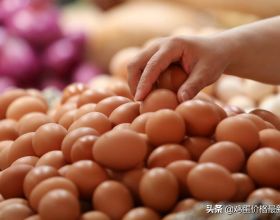 今日雞蛋價格穩中有落，2021年9月22日雞蛋價格行情早報