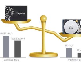 虎年看虎：“愛老虎喲”！這些場面，難得一見