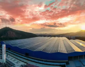 馮德英先生的《苦菜花》把我引向了翻譯之路