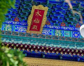 首例移植豬心臟患者死亡，僅存活2個月，人為何要移植豬的心臟？