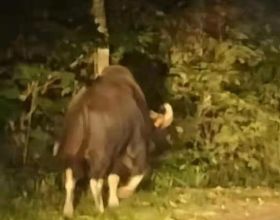 泰國洛坤隆披汶6大特色旅遊地特薦