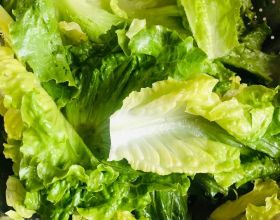 夢幻西遊187屆武神壇：紫禁城雙輔飛秒飛崩寶閣 浩文穩贏局被翻