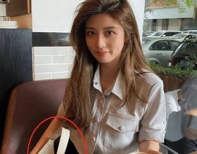 為造電動車拼了，沃爾沃投資100億元瑞典克朗推動生產