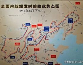 一味山藥，補肺脾腎，藥食同源，解決乏力、腹瀉，讓你元氣滿滿