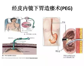 T11 2021資料智慧峰會已上線，這些亮點不容錯過