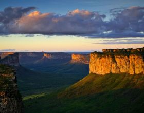今年好多這種過年擺件，不知大家那邊有沒有？