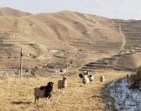 鬥一武魂中只有冷兵器，刀劍的強度是否過低？其實強者根本不在乎