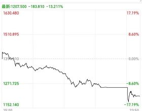 我家的戲精土狗