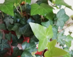 這3款新電動車，充電一次，能跑120公里，適合多種路況騎行