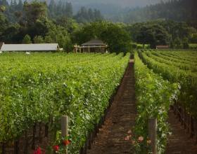 痛失良機的中華共和國