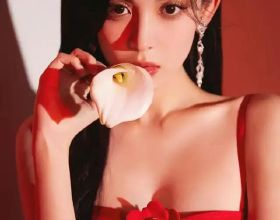 狗狗真的能夠理解人類的意圖嗎？