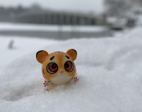 3種&OpenCurlyDoubleQuote;小綠植&rdquo;，耐旱耐陰很好養，半月澆次水，&OpenCurlyDoubleQuote;肥嘟嘟&rdquo;不停長