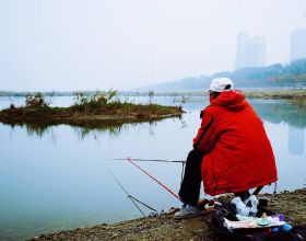 春節期間熬夜了？感覺困、累、乏？教你如何呵護免疫力