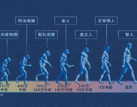 胖子的減肥日記