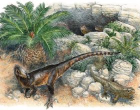 科學家發現新恐龍物種：是在英國發現的最古老的食肉恐龍