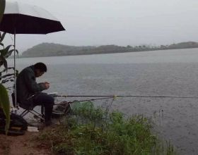 別再問下雨天適不適合釣魚了，只要不是這五種情況，都是可以的